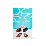 Seashells Chocolate Pack of 5